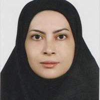 سیده مریم محمدی