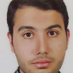 علیرضا نظری