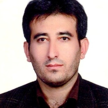علی ضامنی پور