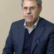 دکتر سیدمحمد مهدی زاده